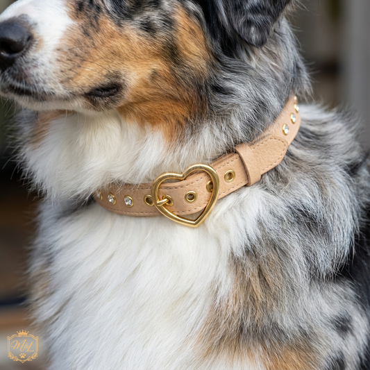 Diamond Heart Buckle Dog Collar