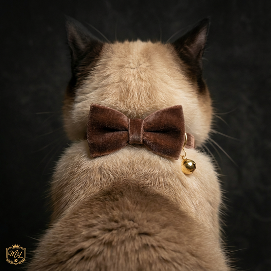 Luxe Velvet Cat Collar
