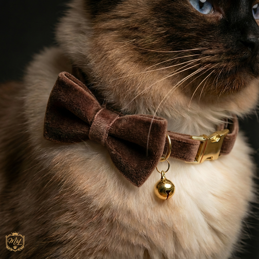 Luxe Velvet Cat Collar