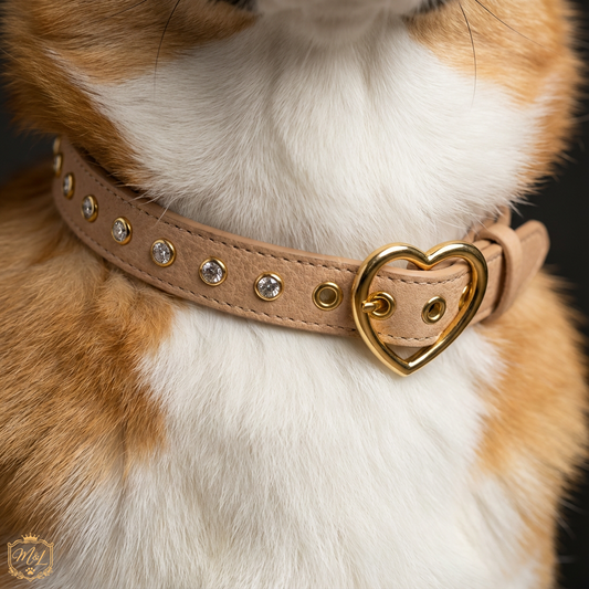 Diamond Heart Buckle Dog Collar