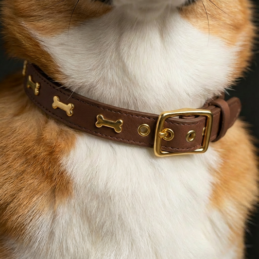 Gold Bone Embellished Dog Collar