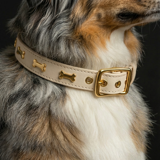 Gold Bone Embellished Dog Collar